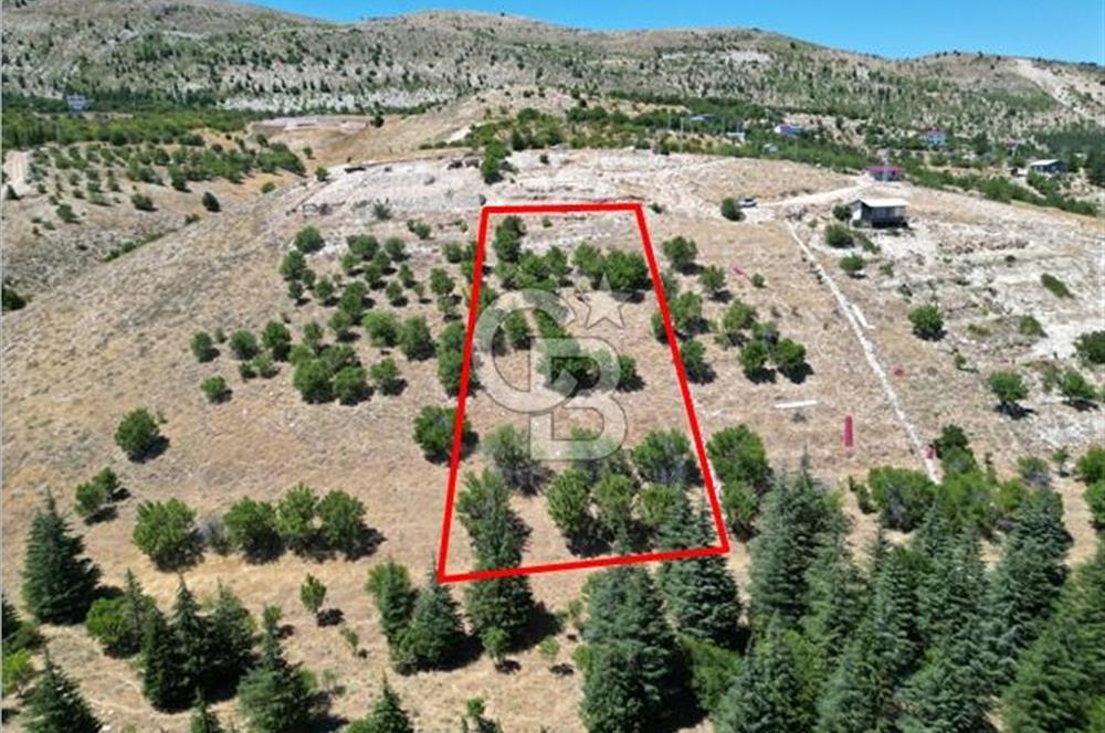 CB'DEN TEK TAPU (2.567m2) KAHRAMANMARAŞ MANZARALI SATILIK BAHÇE