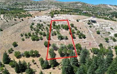 CB'DEN TEK TAPU (2.567m2) KAHRAMANMARAŞ MANZARALI SATILIK BAHÇE