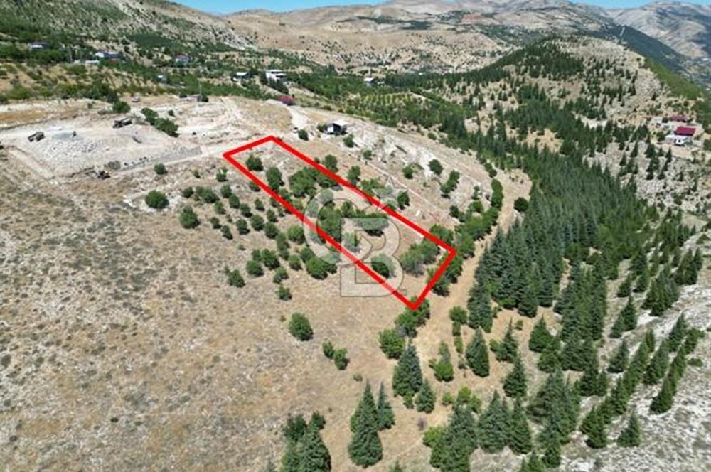 CB'DEN TEK TAPU (2.567m2) KAHRAMANMARAŞ MANZARALI SATILIK BAHÇE