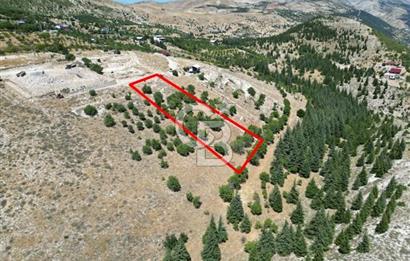 CB'DEN TEK TAPU (2.567m2) KAHRAMANMARAŞ MANZARALI SATILIK BAHÇE