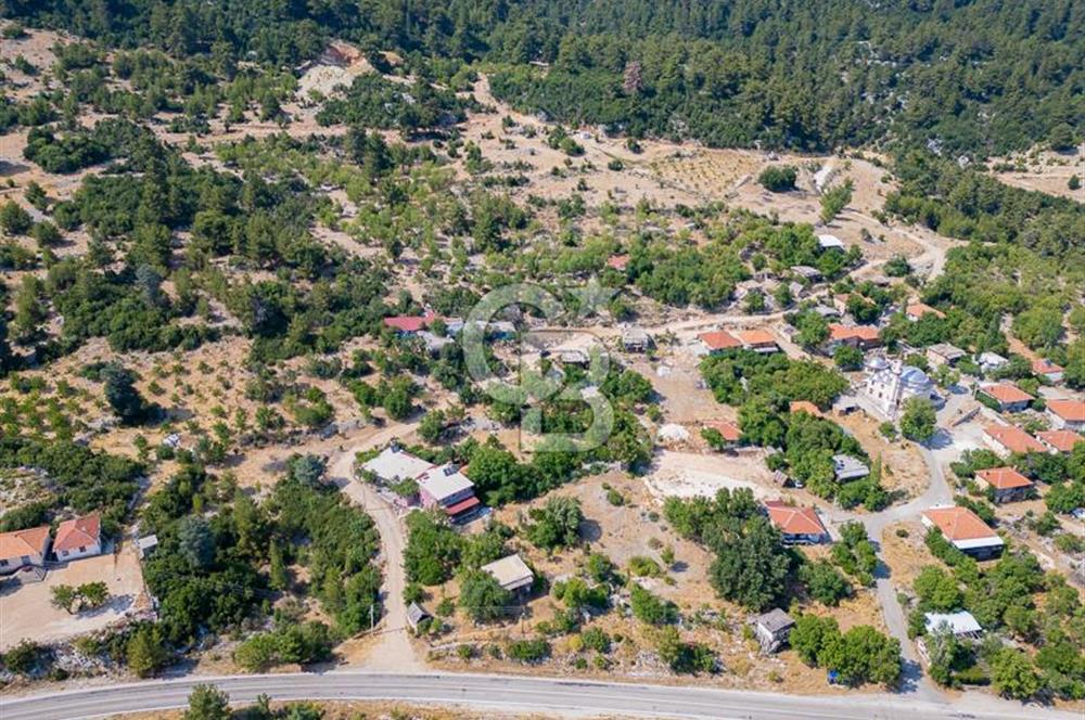 ANTALYA KAŞ GÖMÜCE SATILIK MÜSTAKİL EV VE TARLA