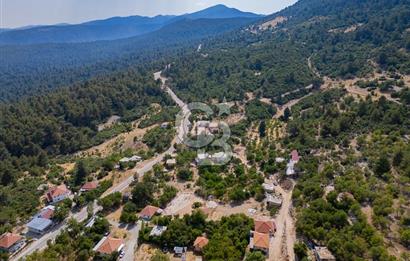 ANTALYA KAŞ GÖMÜCE SATILIK MÜSTAKİL EV VE TARLA