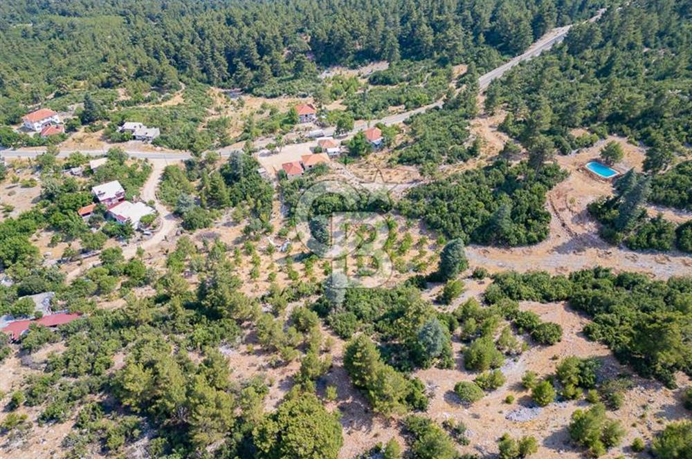 ANTALYA KAŞ GÖMÜCE SATILIK MÜSTAKİL EV VE TARLA