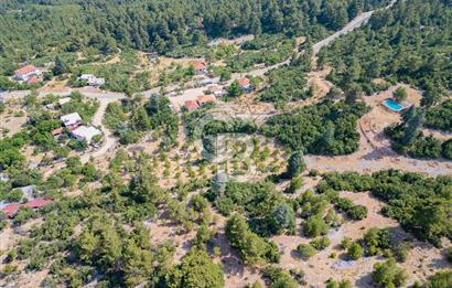 ANTALYA KAŞ GÖMÜCE SATILIK MÜSTAKİL EV VE TARLA