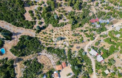 ANTALYA KAŞ GÖMÜCE SATILIK MÜSTAKİL EV VE TARLA