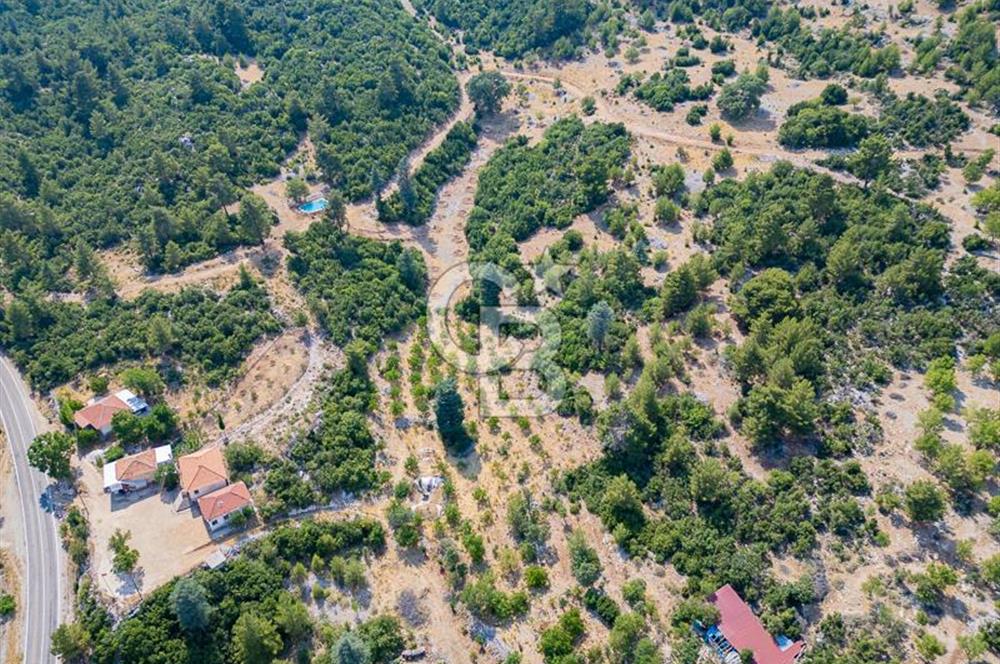 ANTALYA KAŞ GÖMÜCE SATILIK MÜSTAKİL EV VE TARLA