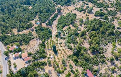 ANTALYA KAŞ GÖMÜCE SATILIK MÜSTAKİL EV VE TARLA