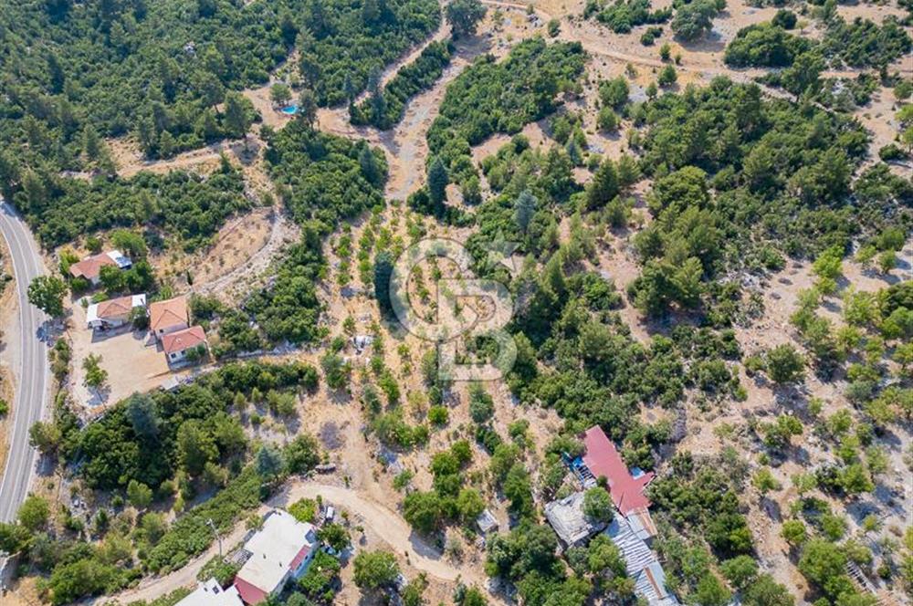 ANTALYA KAŞ GÖMÜCE SATILIK MÜSTAKİL EV VE TARLA
