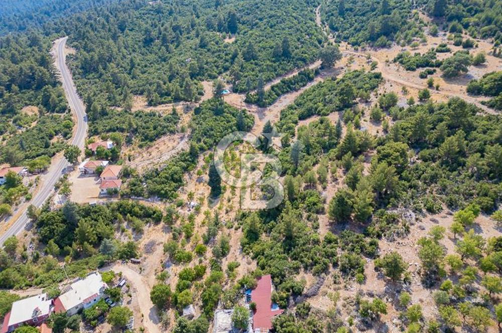 ANTALYA KAŞ GÖMÜCE SATILIK MÜSTAKİL EV VE TARLA