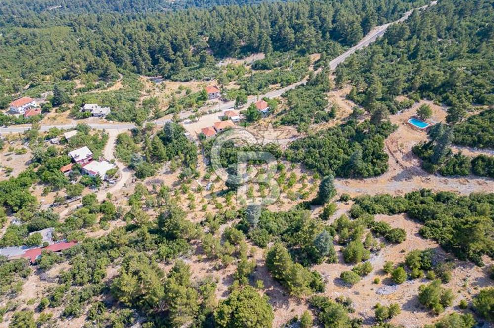 ANTALYA KAŞ GÖMÜCE SATILIK MÜSTAKİL EV VE TARLA