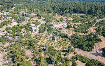 ANTALYA KAŞ GÖMÜCE SATILIK MÜSTAKİL EV VE TARLA