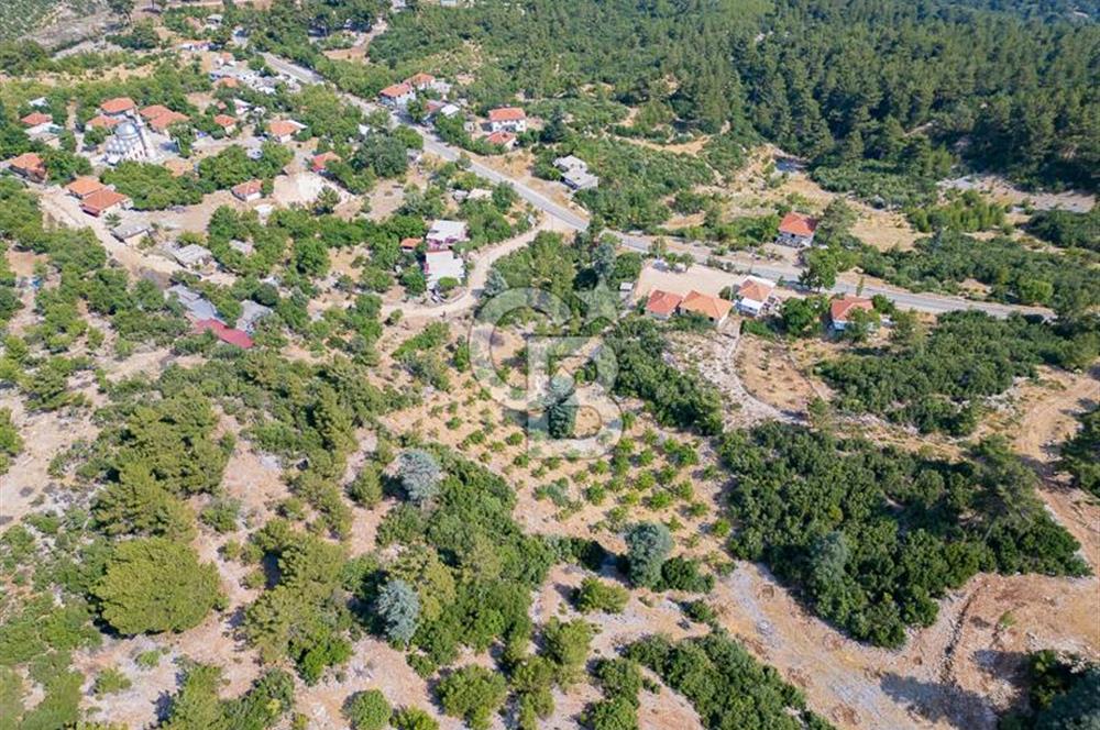 ANTALYA KAŞ GÖMÜCE SATILIK MÜSTAKİL EV VE TARLA