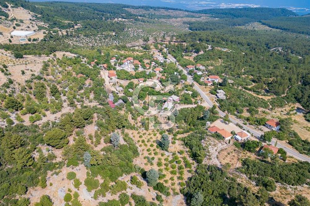 ANTALYA KAŞ GÖMÜCE SATILIK MÜSTAKİL EV VE TARLA