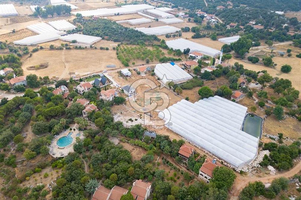 ANTALYA DEMRE KAPAKLI - HOYRAN SATILIK DENİZ MANZARALI 2 TAPU
