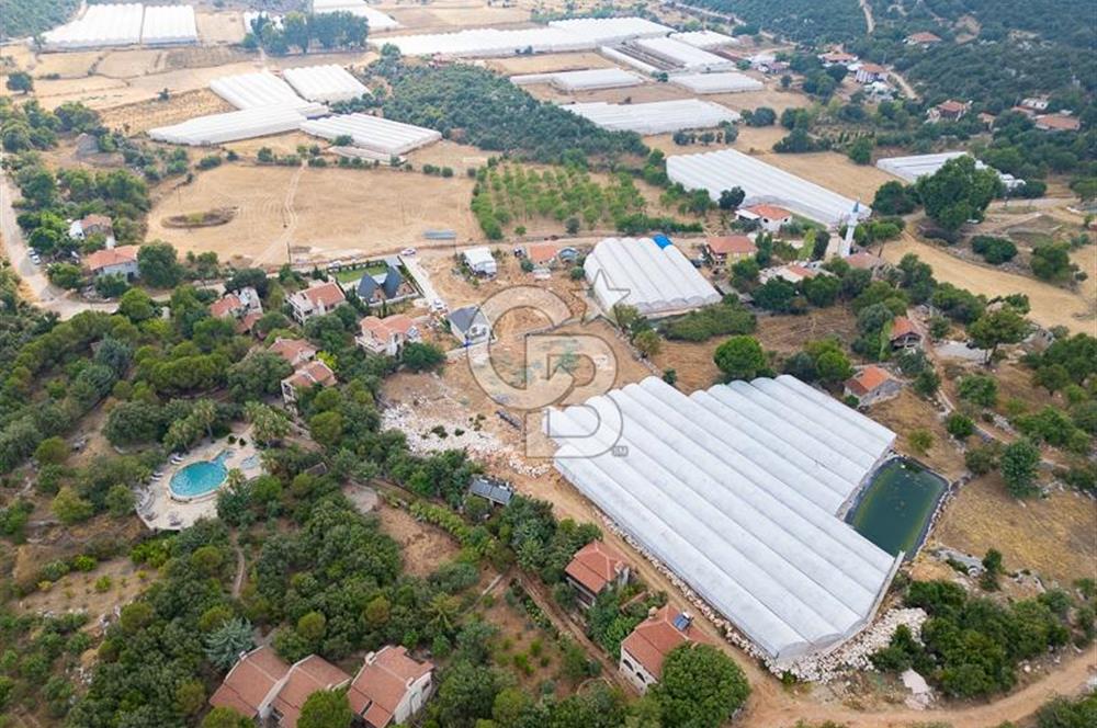 ANTALYA DEMRE KAPAKLI - HOYRAN SATILIK DENİZ MANZARALI 2 TAPU