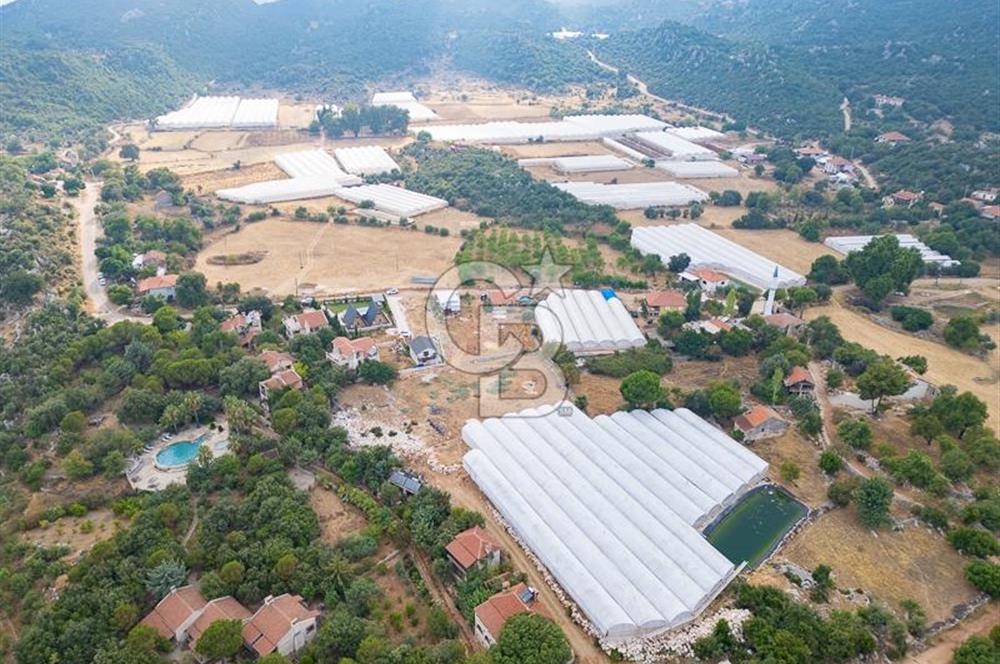 ANTALYA DEMRE KAPAKLI - HOYRAN SATILIK DENİZ MANZARALI 2 TAPU