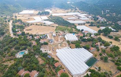 ANTALYA DEMRE KAPAKLI - HOYRAN SATILIK DENİZ MANZARALI 2 TAPU