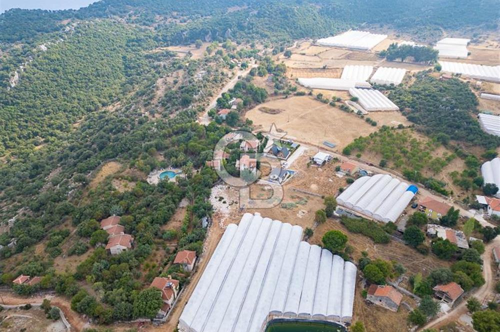 ANTALYA DEMRE KAPAKLI - HOYRAN SATILIK DENİZ MANZARALI 2 TAPU