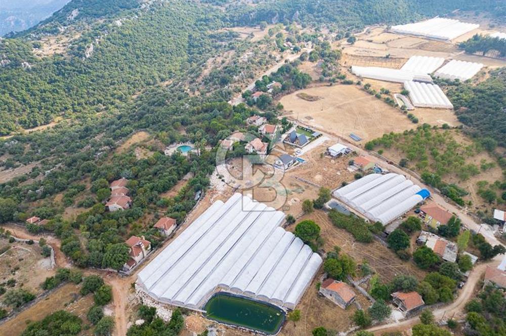 ANTALYA DEMRE KAPAKLI - HOYRAN SATILIK DENİZ MANZARALI 2 TAPU