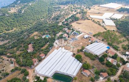 ANTALYA DEMRE KAPAKLI - HOYRAN SATILIK DENİZ MANZARALI 2 TAPU