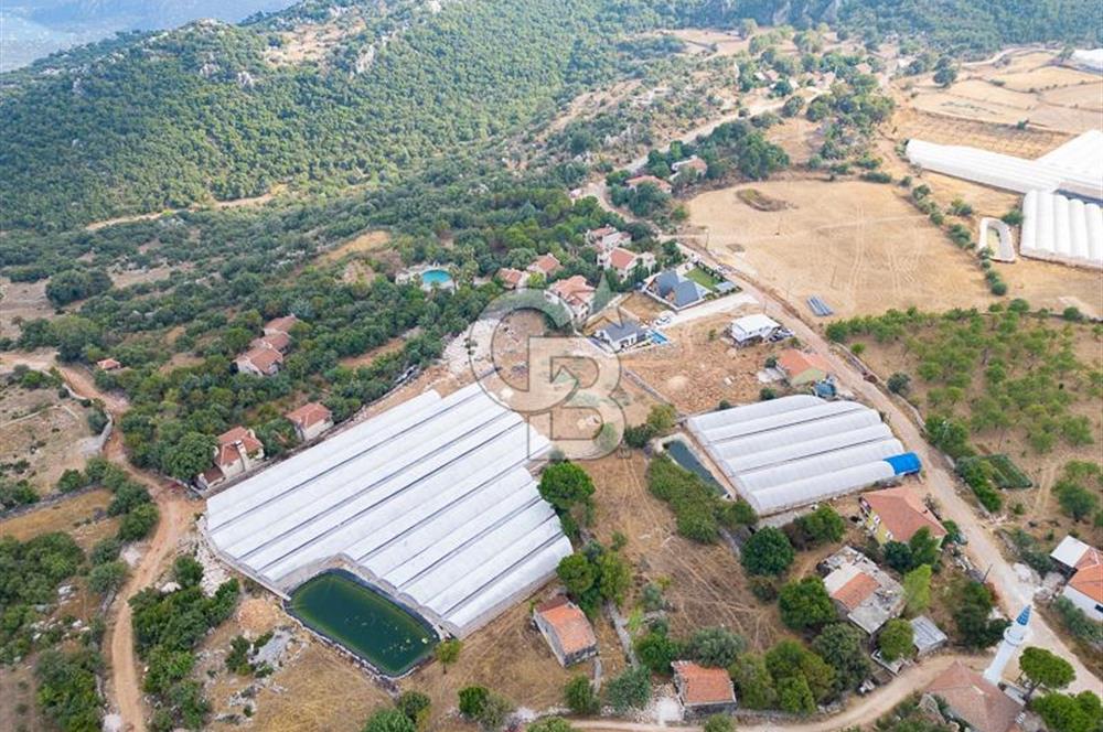 ANTALYA DEMRE KAPAKLI - HOYRAN SATILIK DENİZ MANZARALI 2 TAPU