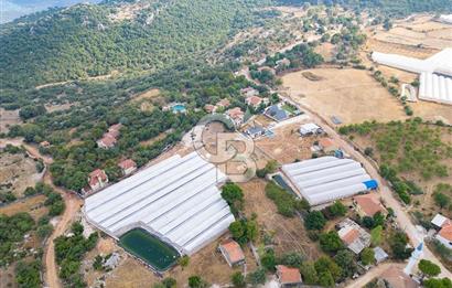 ANTALYA DEMRE KAPAKLI - HOYRAN SATILIK DENİZ MANZARALI 2 TAPU