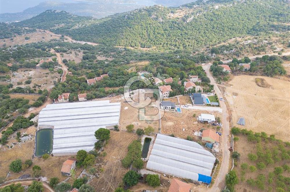 ANTALYA DEMRE KAPAKLI - HOYRAN SATILIK DENİZ MANZARALI 2 TAPU