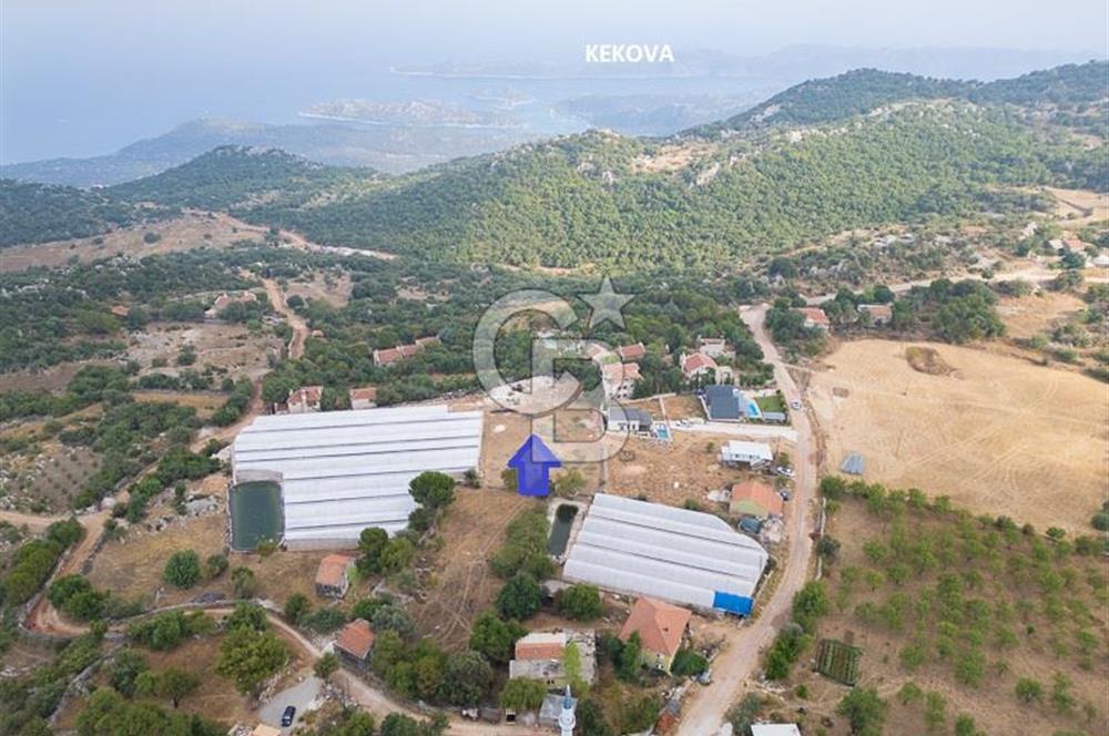 ANTALYA DEMRE KAPAKLI - HOYRAN SATILIK DENİZ MANZARALI 2 TAPU