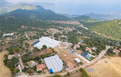 ANTALYA DEMRE KAPAKLI - HOYRAN SATILIK DENİZ MANZARALI 2 TAPU