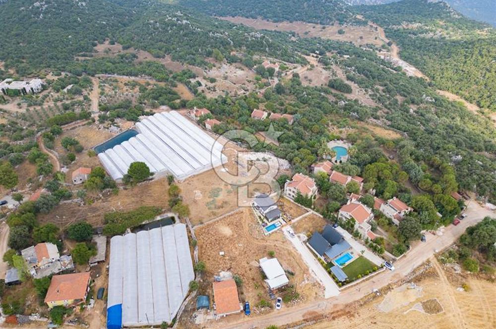 ANTALYA DEMRE KAPAKLI - HOYRAN SATILIK DENİZ MANZARALI 2 TAPU