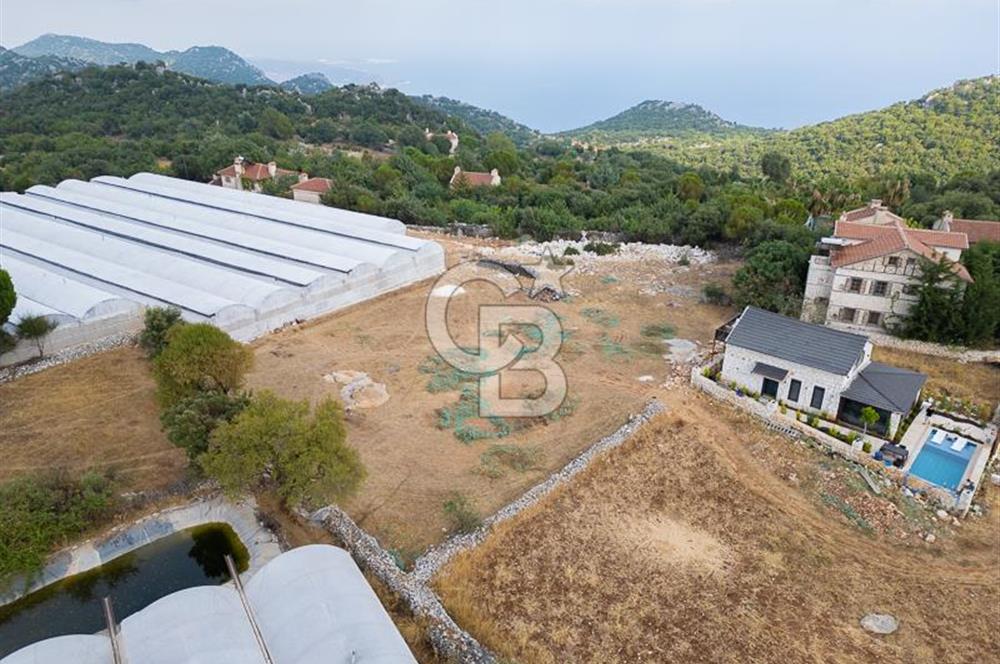 ANTALYA DEMRE KAPAKLI - HOYRAN SATILIK DENİZ MANZARALI 2 TAPU
