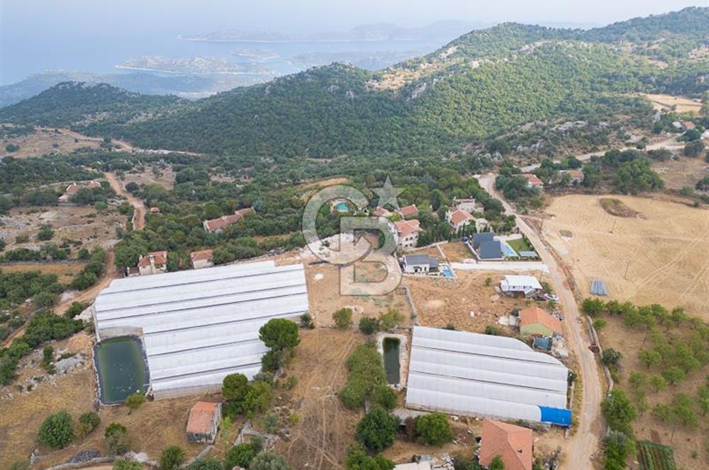 ANTALYA DEMRE KAPAKLI - HOYRAN SATILIK DENİZ MANZARALI 2 TAPU