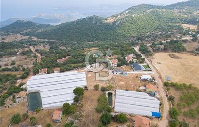 ANTALYA DEMRE KAPAKLI - HOYRAN SATILIK DENİZ MANZARALI 2 TAPU