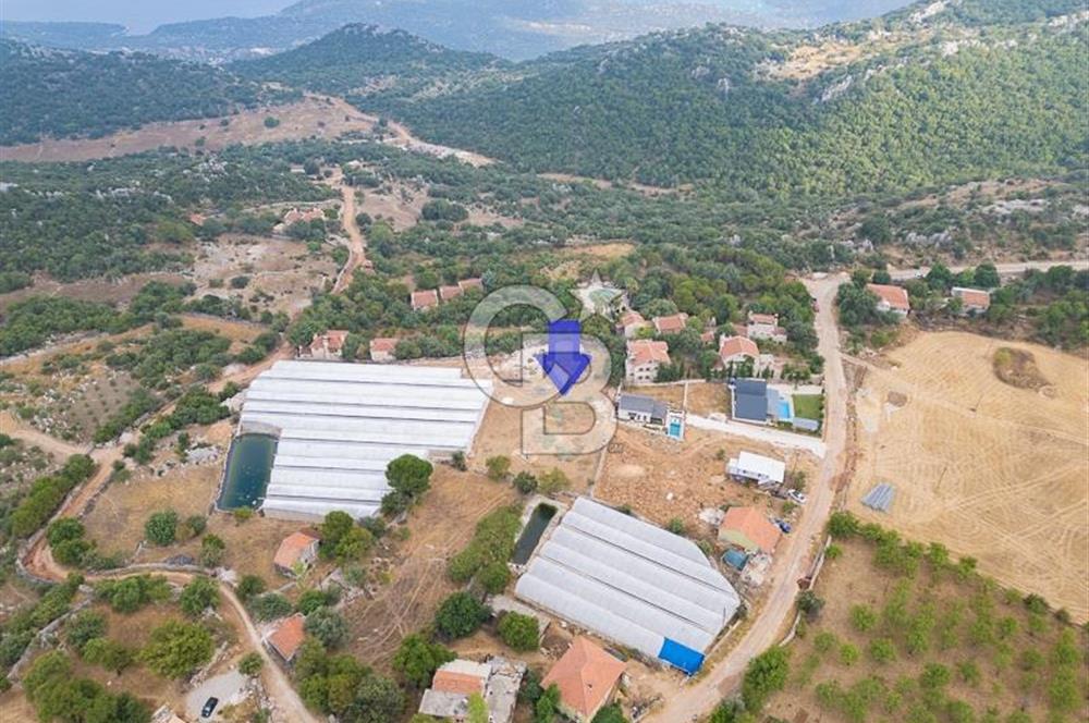 ANTALYA DEMRE KAPAKLI - HOYRAN SATILIK DENİZ MANZARALI 2 TAPU