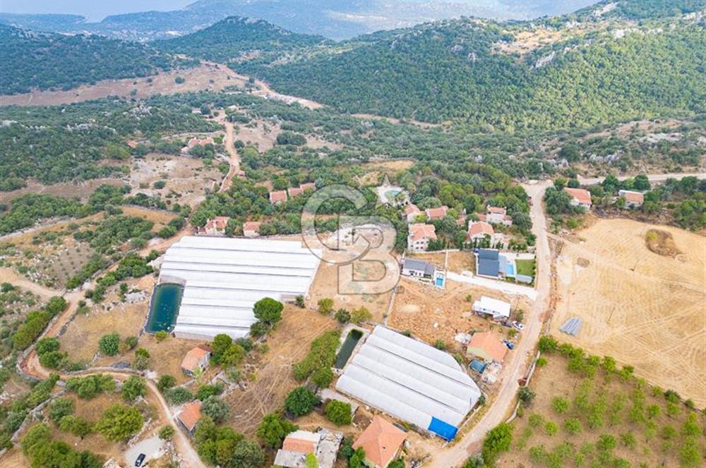 ANTALYA DEMRE KAPAKLI - HOYRAN SATILIK DENİZ MANZARALI 2 TAPU
