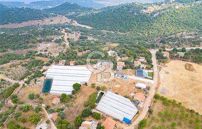 ANTALYA DEMRE KAPAKLI - HOYRAN SATILIK DENİZ MANZARALI 2 TAPU