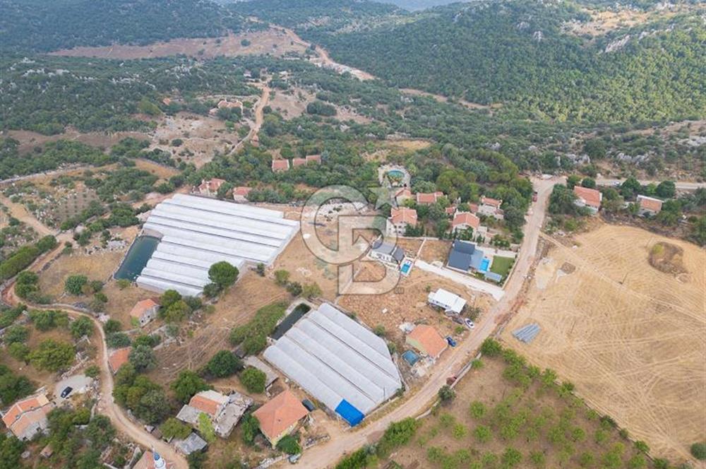ANTALYA DEMRE KAPAKLI - HOYRAN SATILIK DENİZ MANZARALI 2 TAPU