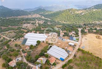 ANTALYA DEMRE KAPAKLI - HOYRAN SATILIK DENİZ MANZARALI 2 TAPU