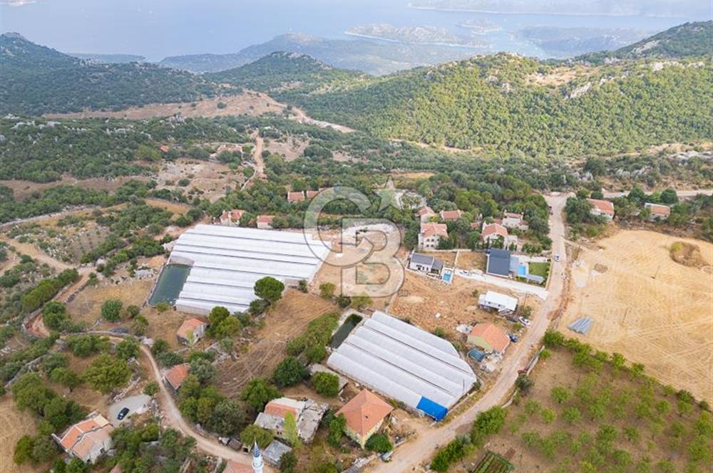 ANTALYA DEMRE KAPAKLI - HOYRAN SATILIK DENİZ MANZARALI 2 TAPU