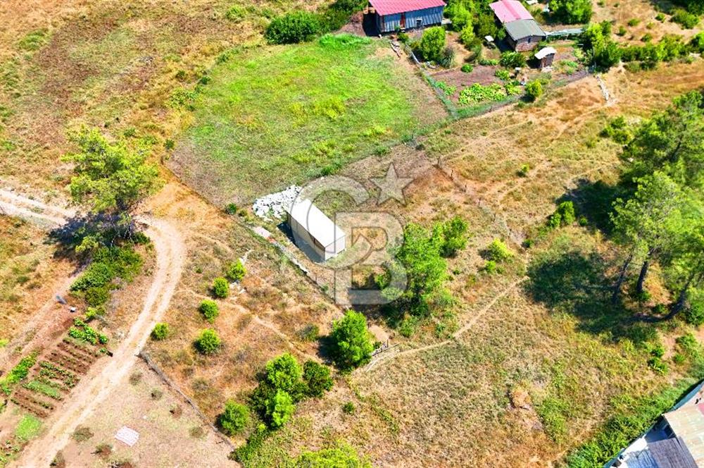 Marmaris Değirmenyanı'nda Satılık 558 m² Tarla