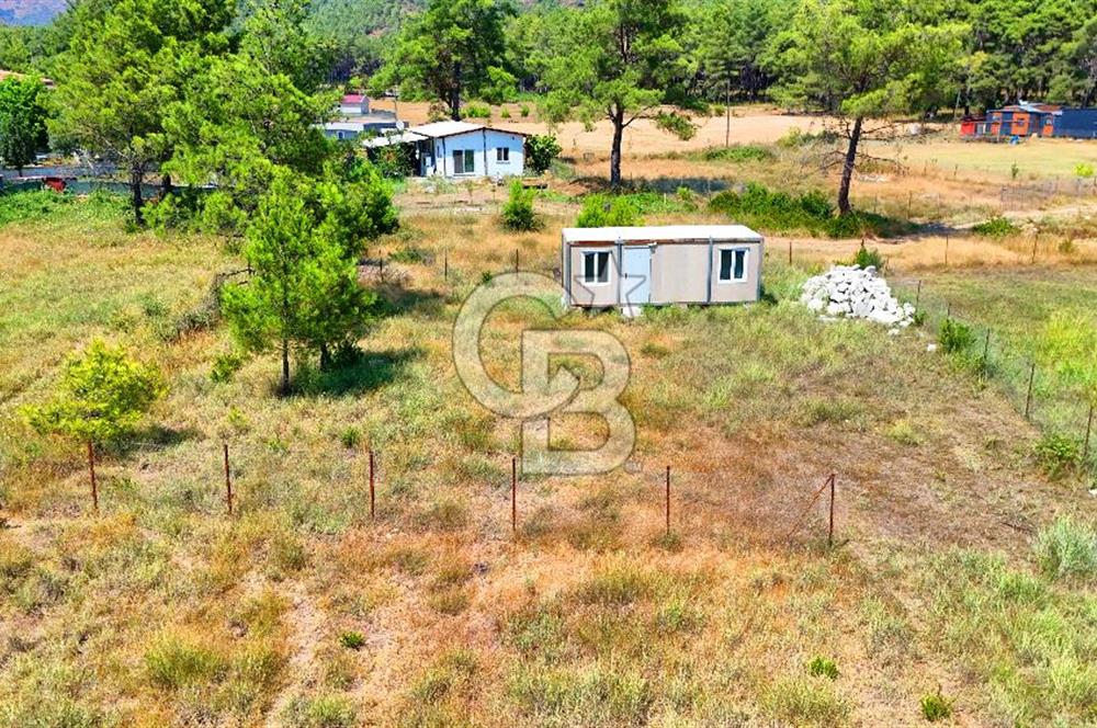 Marmaris Değirmenyanı'nda Satılık 558 m² Tarla