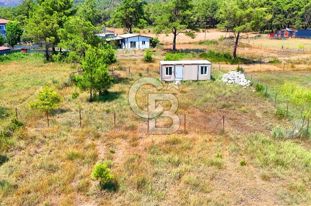 Marmaris Değirmenyanı'nda Satılık 558 m² Tarla