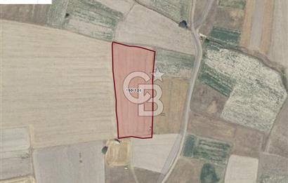 BALIKESİR BALYA HACIHÜSEYİN'DE SATILIK TARLA YATIRIM FIRSATI