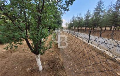GÖLBAŞI İKİZCE ÇINAR SİTESİ FIRSAT FİYATLA SATILIK BAHÇELİ EV