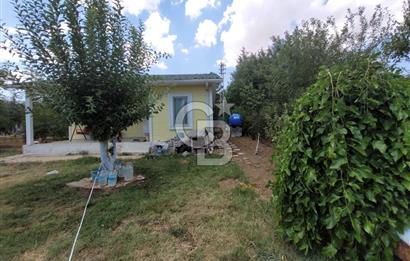 GÖLBAŞI İKİZCE ÇINAR SİTESİ FIRSAT FİYATLA SATILIK BAHÇELİ EV