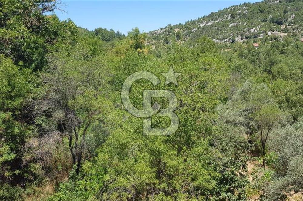 ANTALYA AKSEKİ SATILIK ARSA 