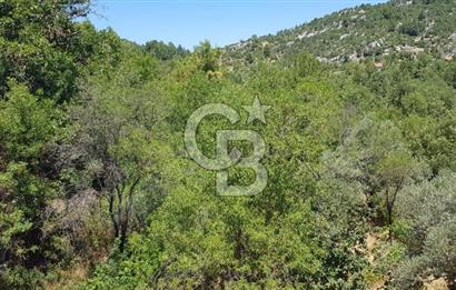 ANTALYA AKSEKİ SATILIK ARSA 