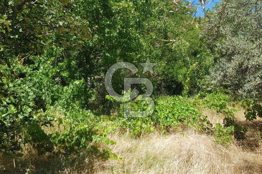 ANTALYA AKSEKİ SATILIK ARSA 