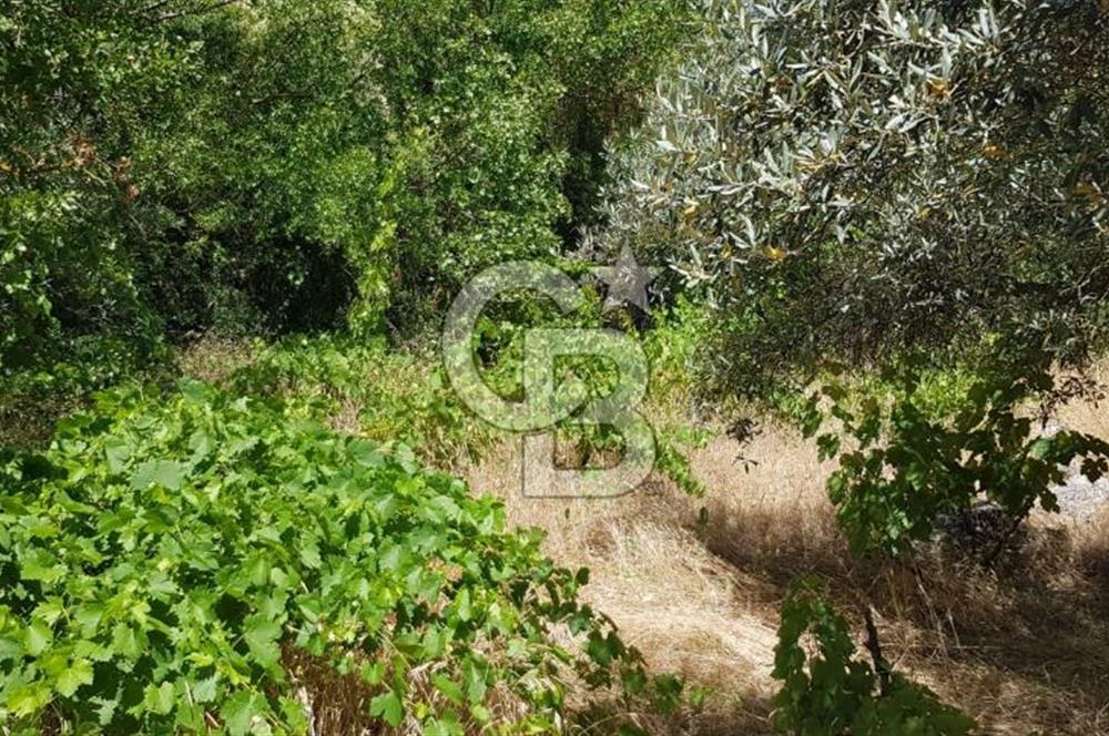 ANTALYA AKSEKİ SATILIK ARSA 