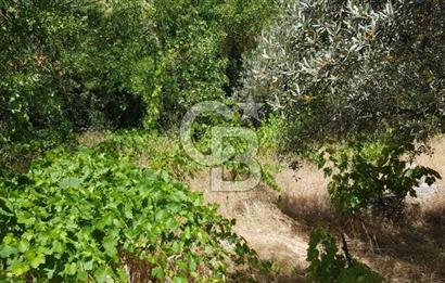 ANTALYA AKSEKİ SATILIK ARSA 
